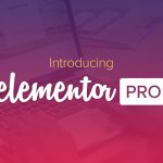 Elementor Pro plugin dashboard showing premium widgets and editing options
