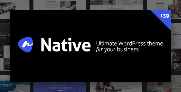 DFD Native Nulled Portfolio WordPress Theme