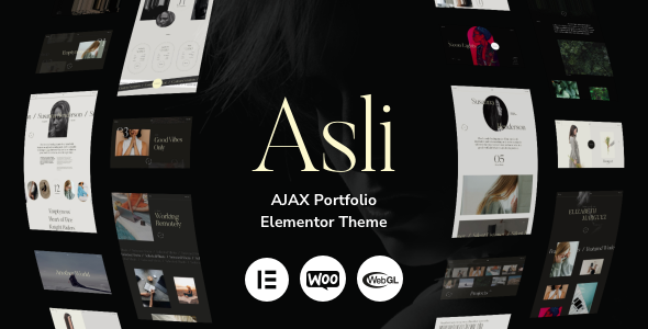 Asli Nulled AJAX Portfolio Theme Preview