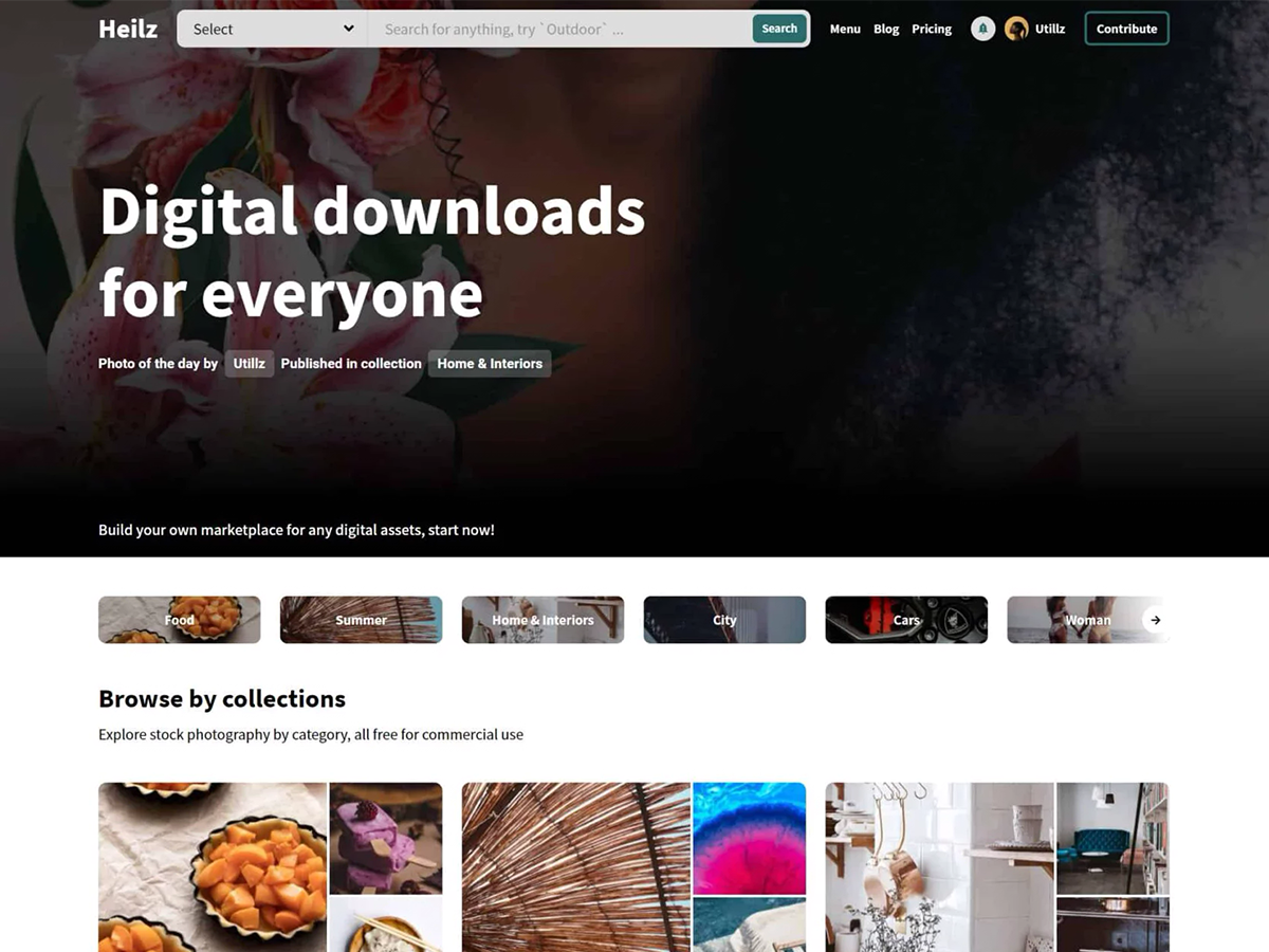 Heilz Directory & Listing WordPress Theme Nulled Free Download