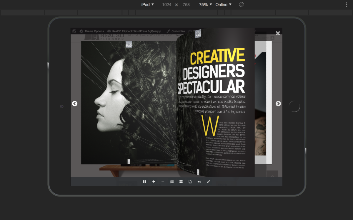 Real3D Flipbook WordPress Plugin Dashboard